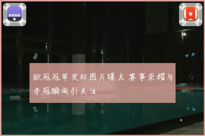 欧冠冠军奖杯图片曝光 赛事荣耀与夺冠瞬间引关注